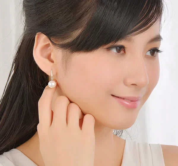 Crystal Teardrop Pendant Earrings